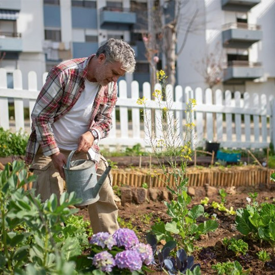 147_9282_12Nov2024143607_Urban farming.jpg